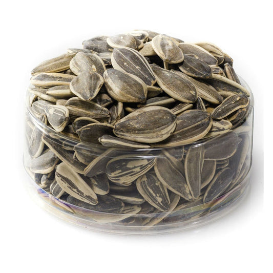 Israeli Sunflower Seeds